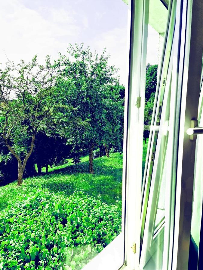 شقة Apartament Parkowy مارونجوفو المظهر الخارجي الصورة